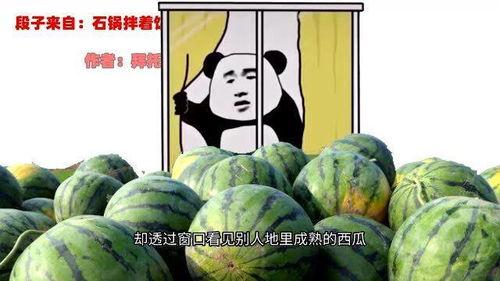 表哥戏外吃瓜,揭秘娱乐圈幕后故事