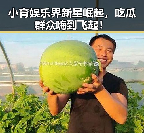 小育娱乐界新星崛起，吃瓜群众嗨到飞起！