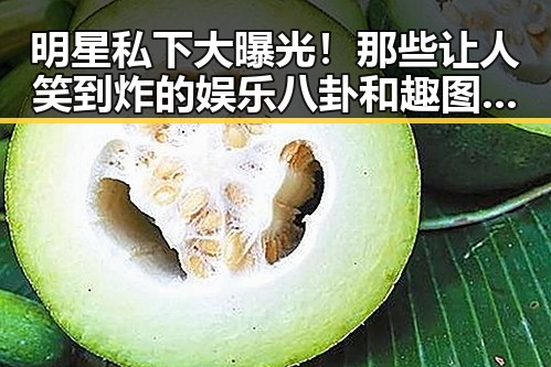 明星私下大曝光！那些让人笑到炸的娱乐八卦和趣图合集