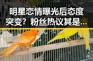 明星恋情曝光后态度突变？粉丝热议其是否“变心”引发讨论🔥
