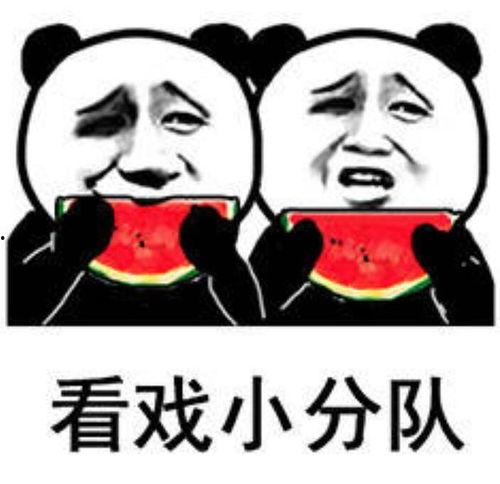 吃瓜转头表情包,揭秘网络表情包的魅力