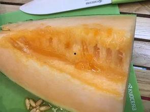 柳州城市吃瓜,探寻城市吃瓜的甜蜜诱惑