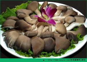 骨折可以吃蒲瓜吗,蒲瓜助力营养补充，促进骨骼愈合