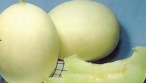 换肤后天天吃瓜,她成了瓜田里的“瓜王”