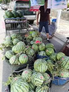 西昌网络吃瓜事件,揭秘背后真相与网络舆论的力量