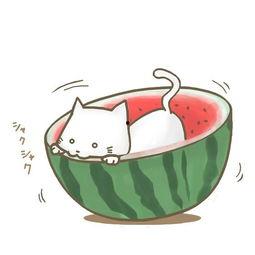 苏总管吃瓜,揭秘职场背后的酸甜苦辣