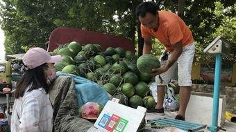 济宁助教吃瓜,校园生活的一抹趣味色彩