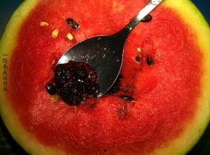 带你吃瓜奇葩杯子