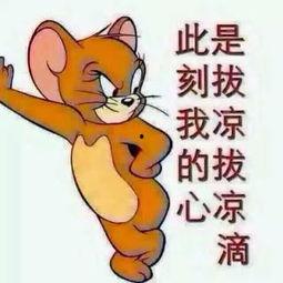 吃瓜群众打架合集,一场场爆笑的街头闹剧