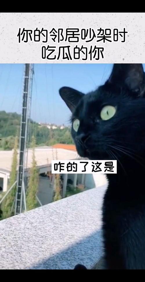 吵架骂人吃瓜,一场网络口水战的背后