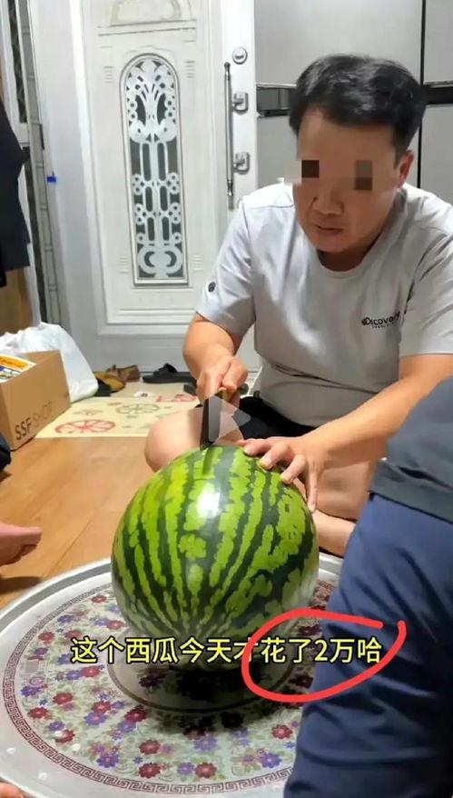 不是吃瓜吃,非“吃瓜”视角下的社会现象观察