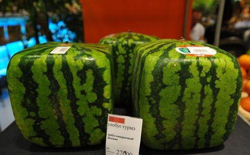 地雷瓜怎么吃,解锁美味新体验