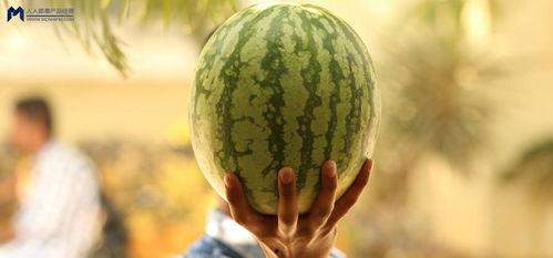 2021最近吃瓜事件,揭秘明星幕后风云