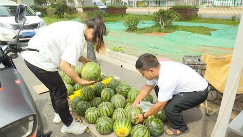 随地吃瓜15集,揭秘15集剧情高潮与悬念