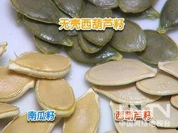 瓜吃瓜子皮,瓜子皮里的生活智慧