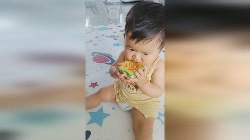 周岁男童吃瓜照片图片,萌态十足萌化人心