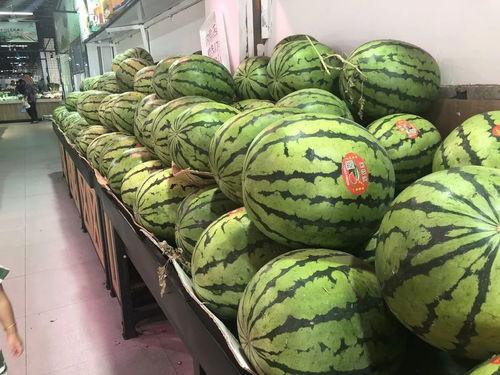 上海金山吃瓜视频,探寻上海本土美食风情