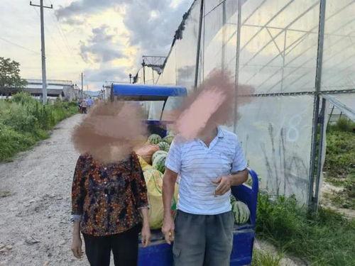 吃瓜会被拘留吗