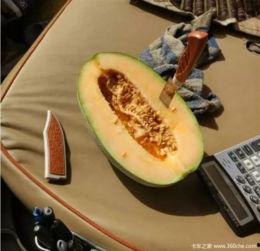 瓜瓜吃瓜的作者是