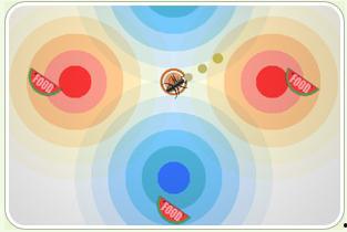 蚂蚁吃瓜的诗,探寻自然界的奇妙生态现象