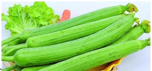 hp这个女性在吃瓜,揭秘瓜界女神的美食之旅