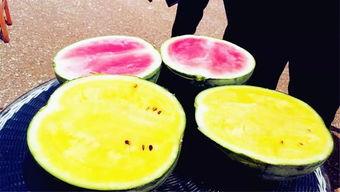 潍坊吃瓜大爆料,揭秘当地美食背后的故事