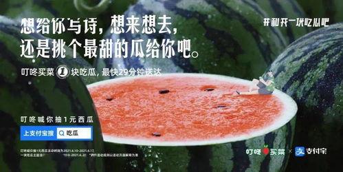 瓜地吃瓜文案,一场别开生面的吃瓜文案狂欢