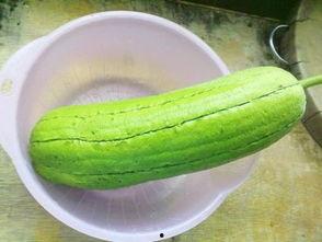 水瓜炒着吃的做法,水瓜炒制，清爽可口的家常菜分享