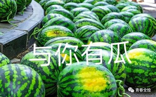 大学吃瓜,揭秘校园八卦背后的故事